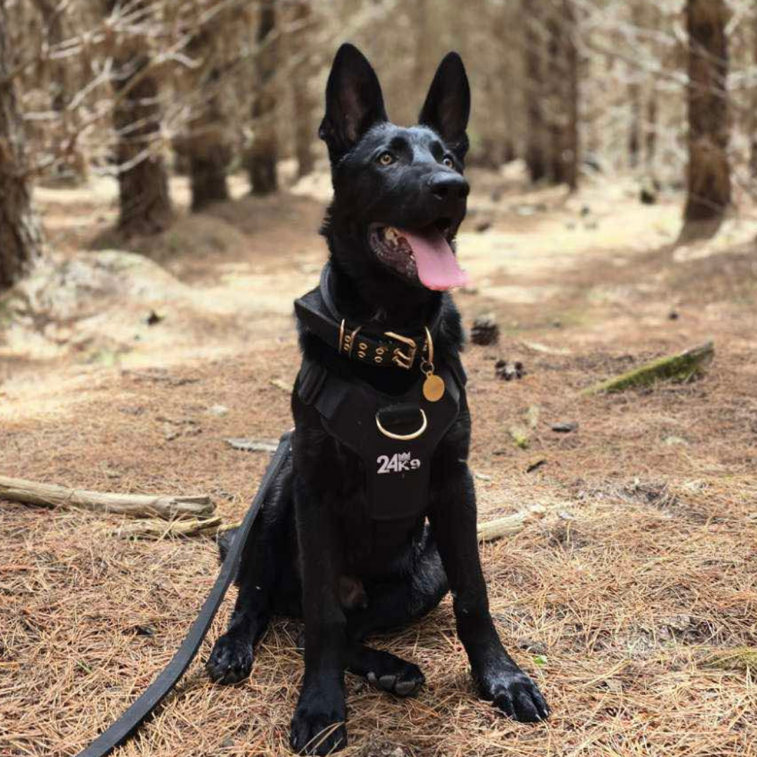 The Right Tools Give You Your Confidence Back