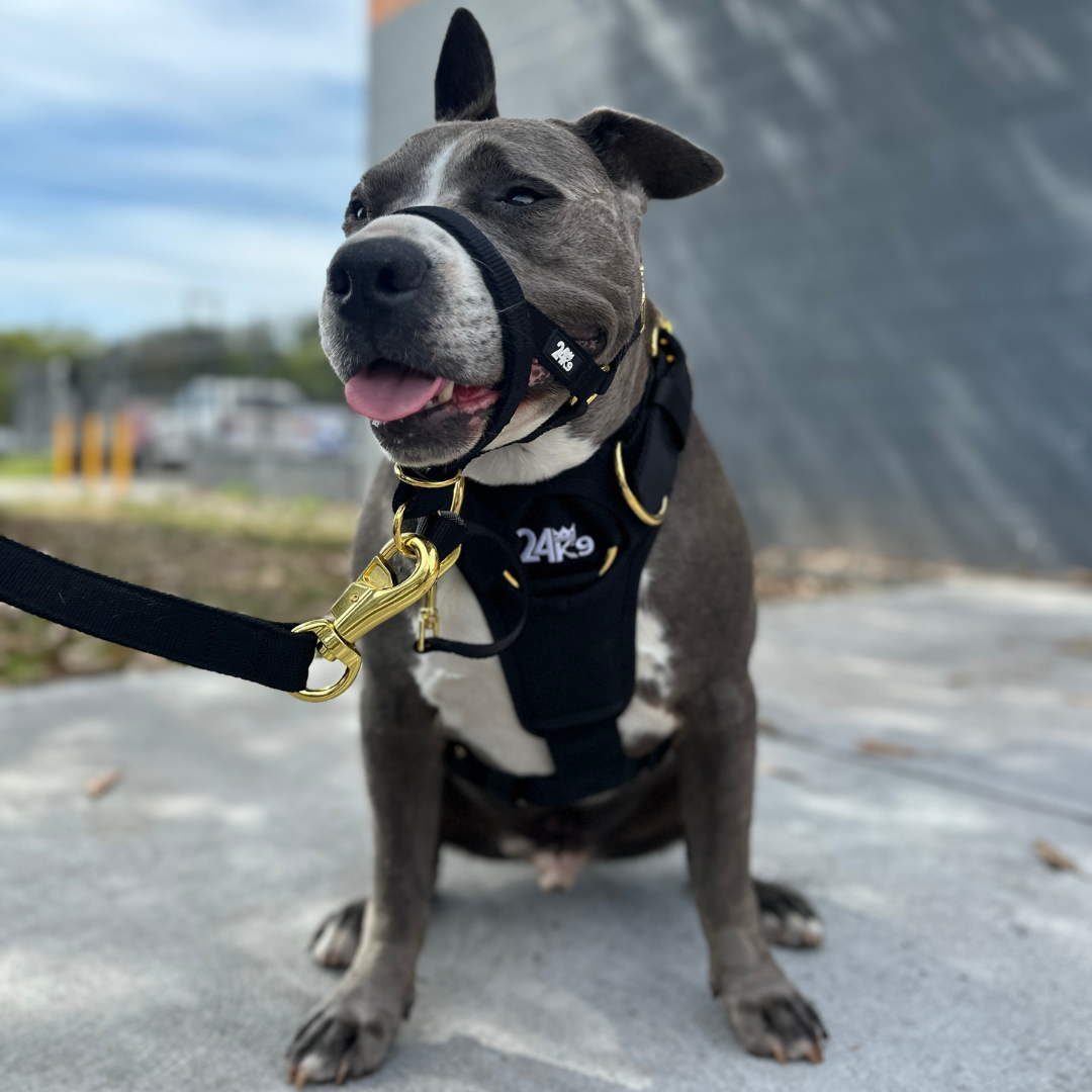 Overcome Challenges With Real Control, Comfort And Results