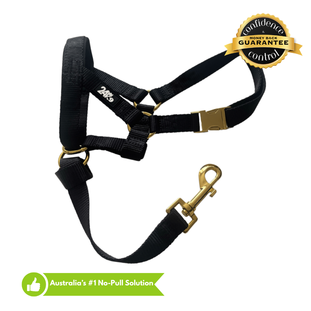 Kontroller Head Halter