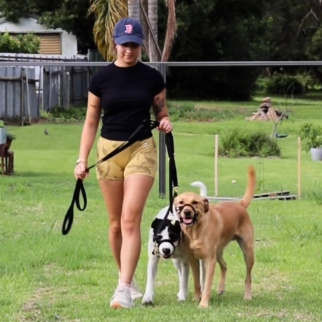 GIVES YOU THE OPTION TO CONFIDENTLY WALK MULTIPLE DOGS