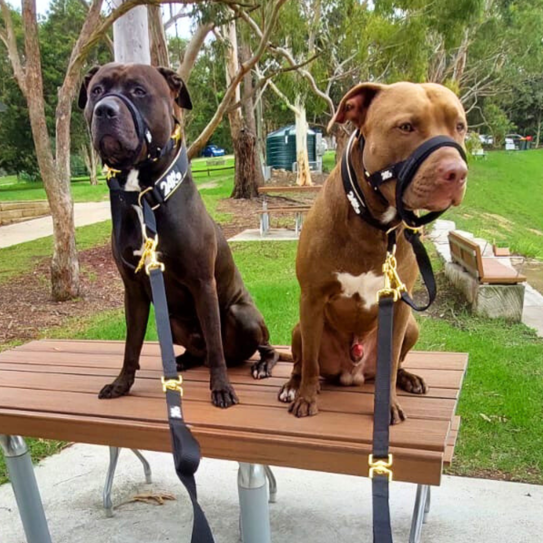 High Value & Effectivenes