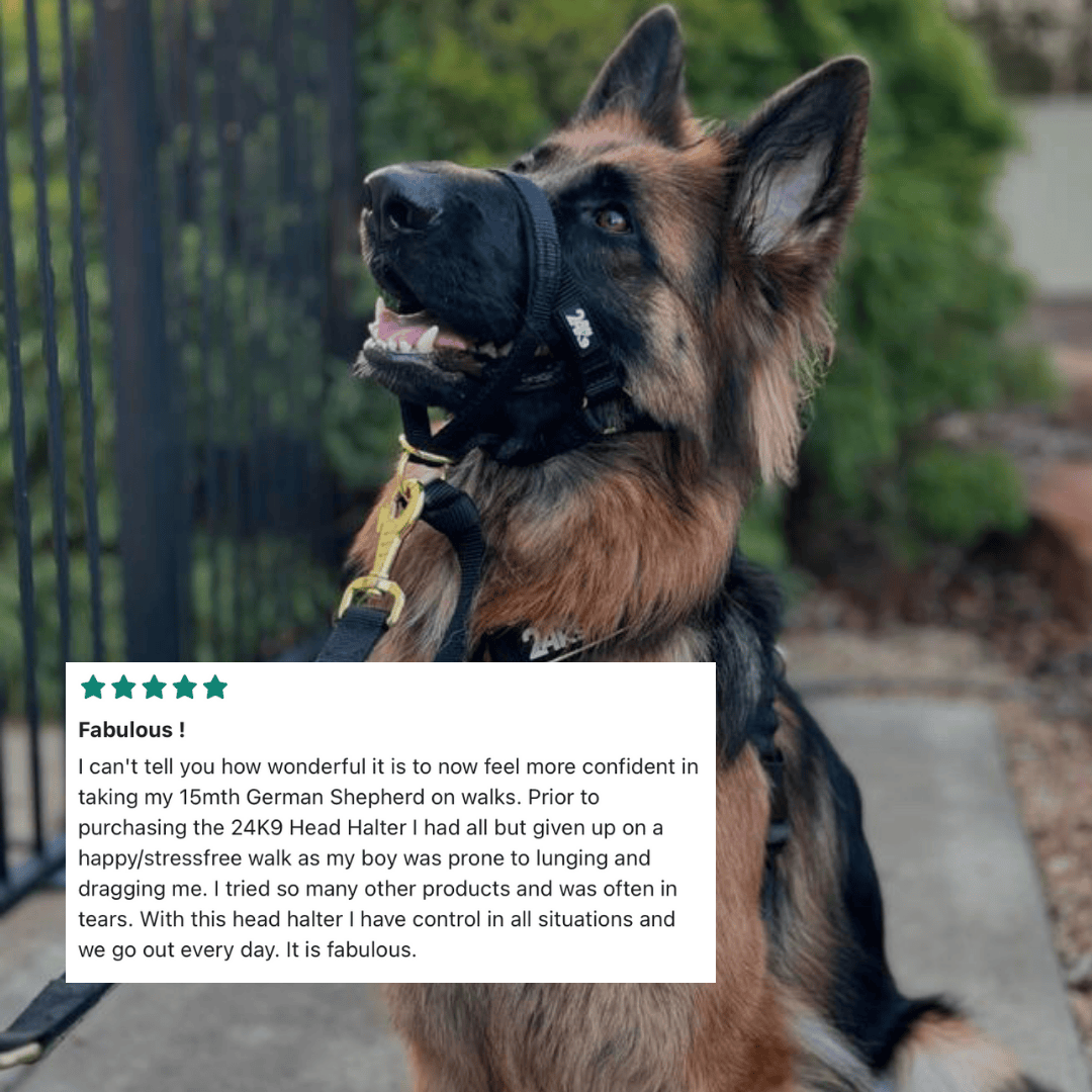 Kontroller Head Halter