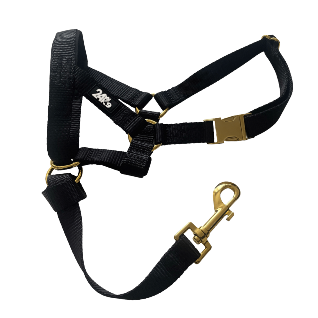 24K9