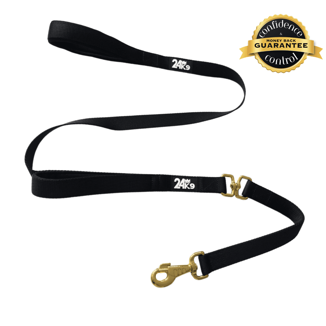 Dog leash with 2024 handle