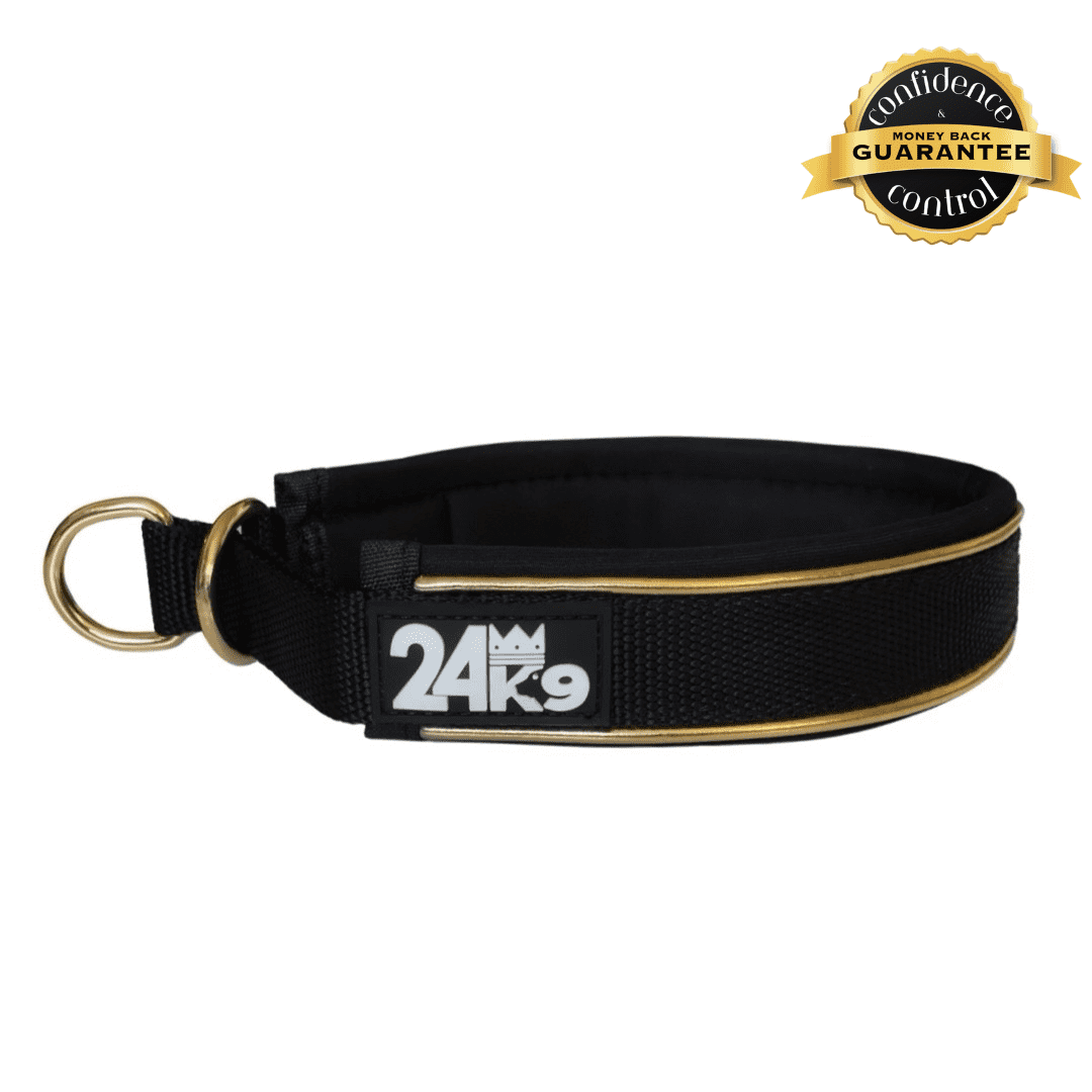 Non slip dog sales collar