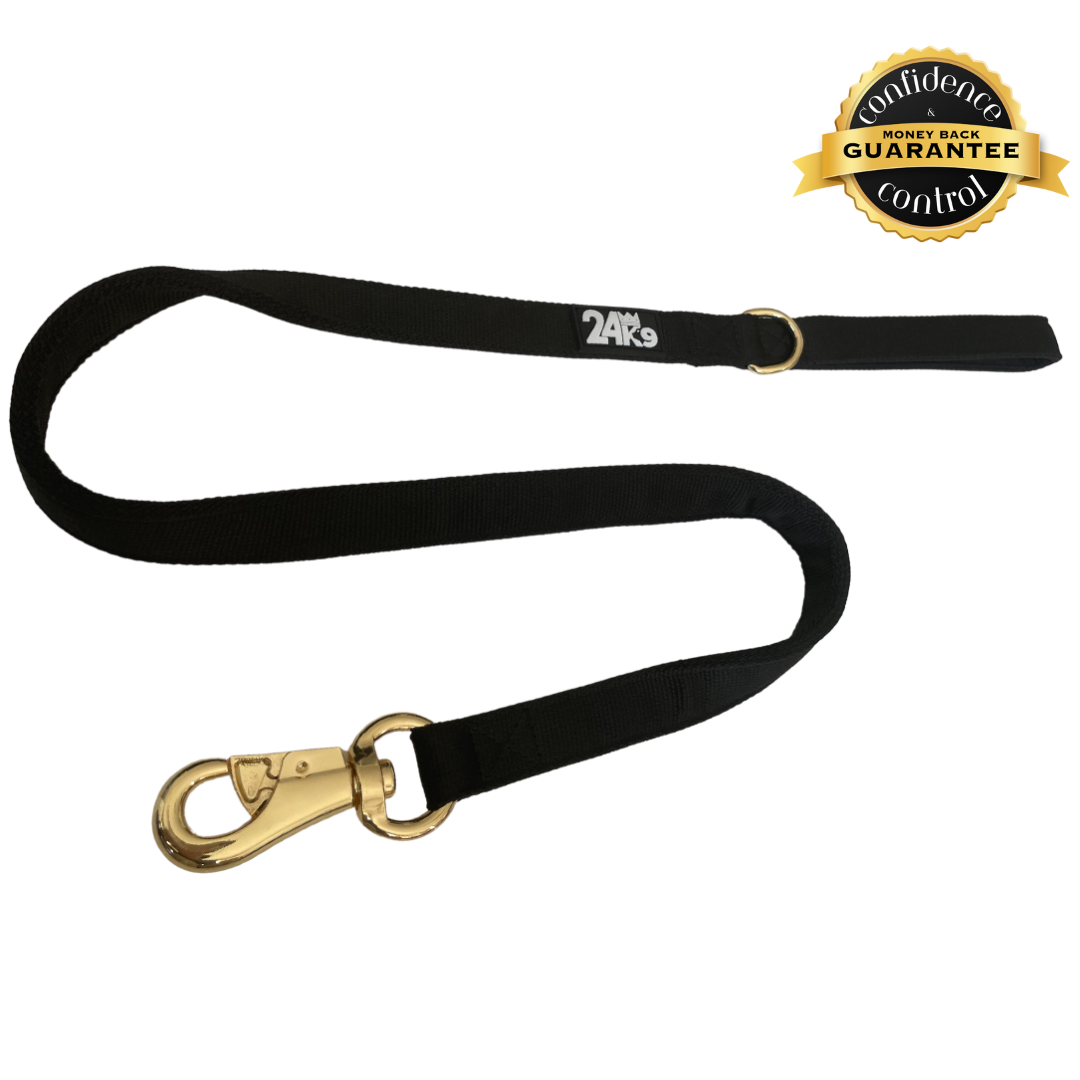 Gold clearance dog leash