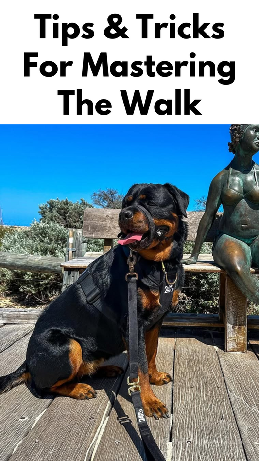 Tips & Tricks For Mastering The Walk
