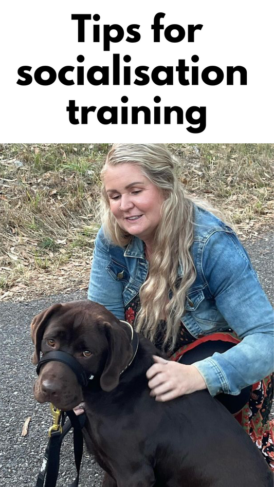 Socialisation for Dogs: Learning to Navigate the World