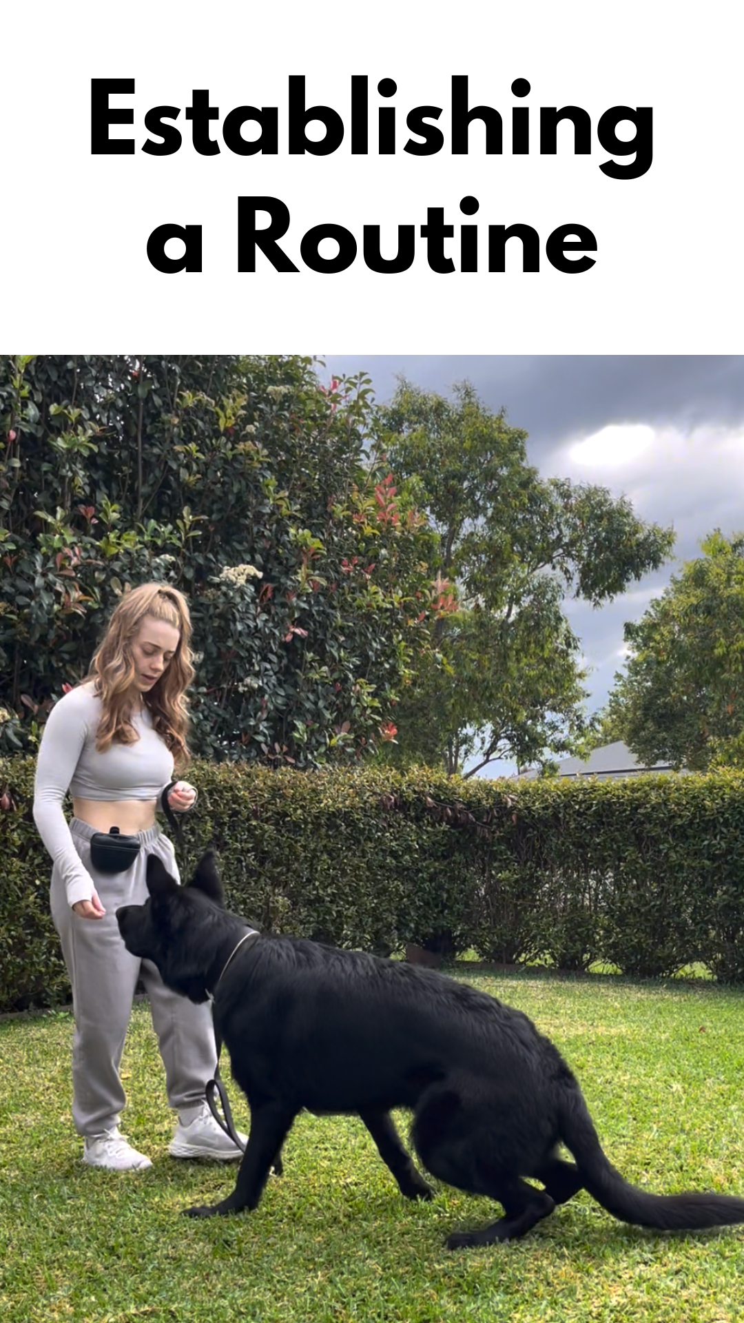 Establishing a Routine