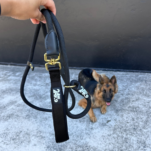 Leashes