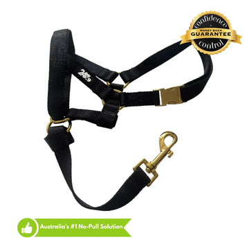 Kontroller Head Halter