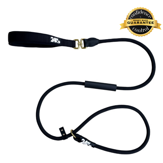 Training Slip Dog Leash