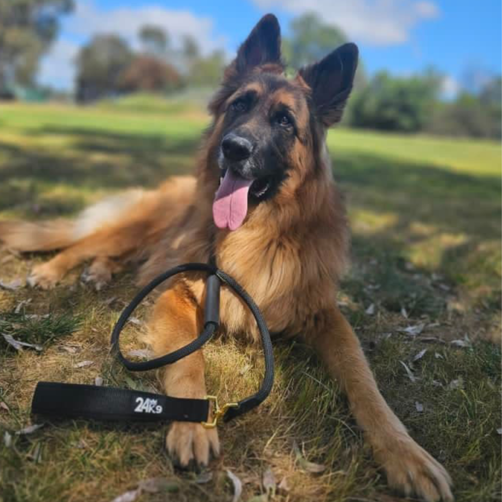Korrection Slip Leash