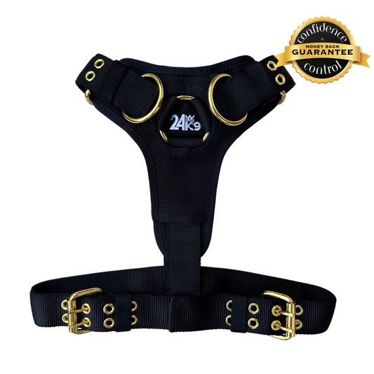 Kommando Harness