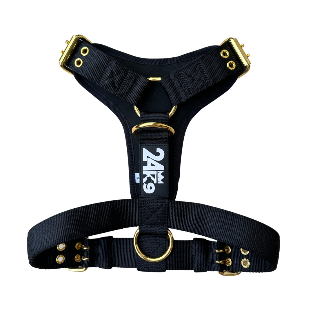 Kommando Harness