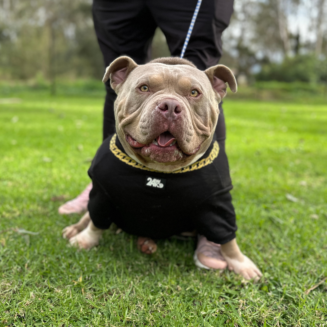 Show Stopper Hoodie