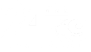 24K9