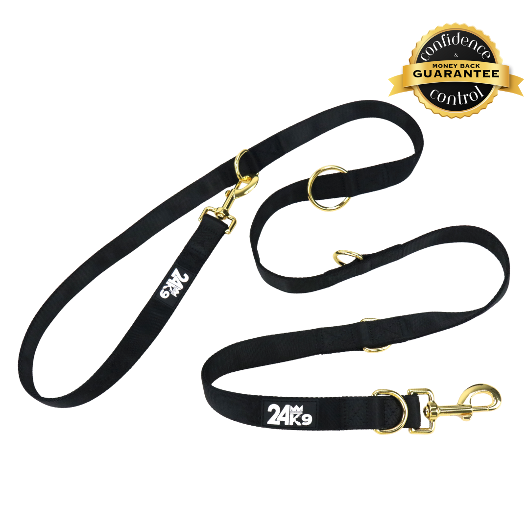 Kustom Multifunction Leash