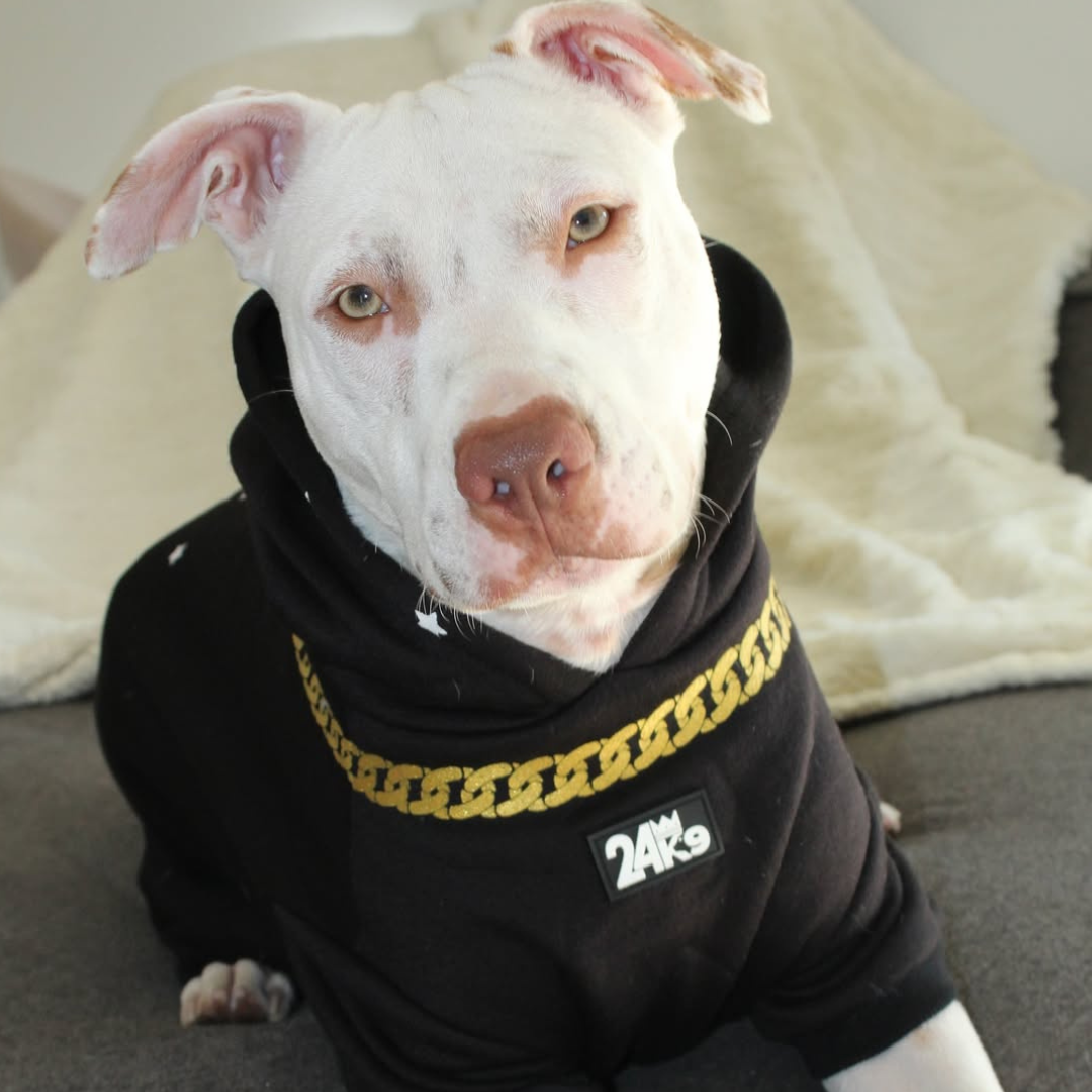 Show Stopper Hoodie
