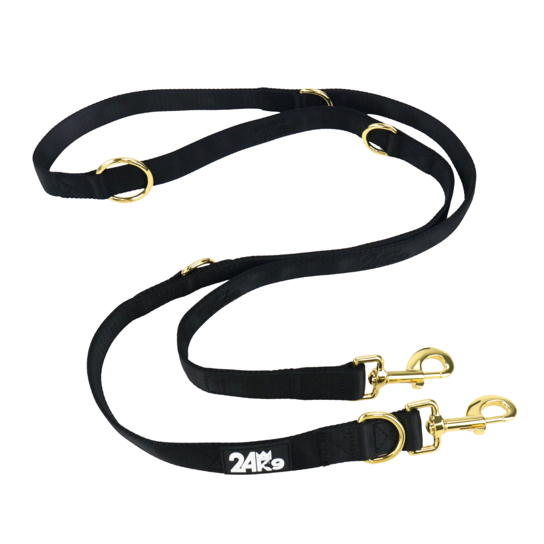 Kustom Multifunction Leash