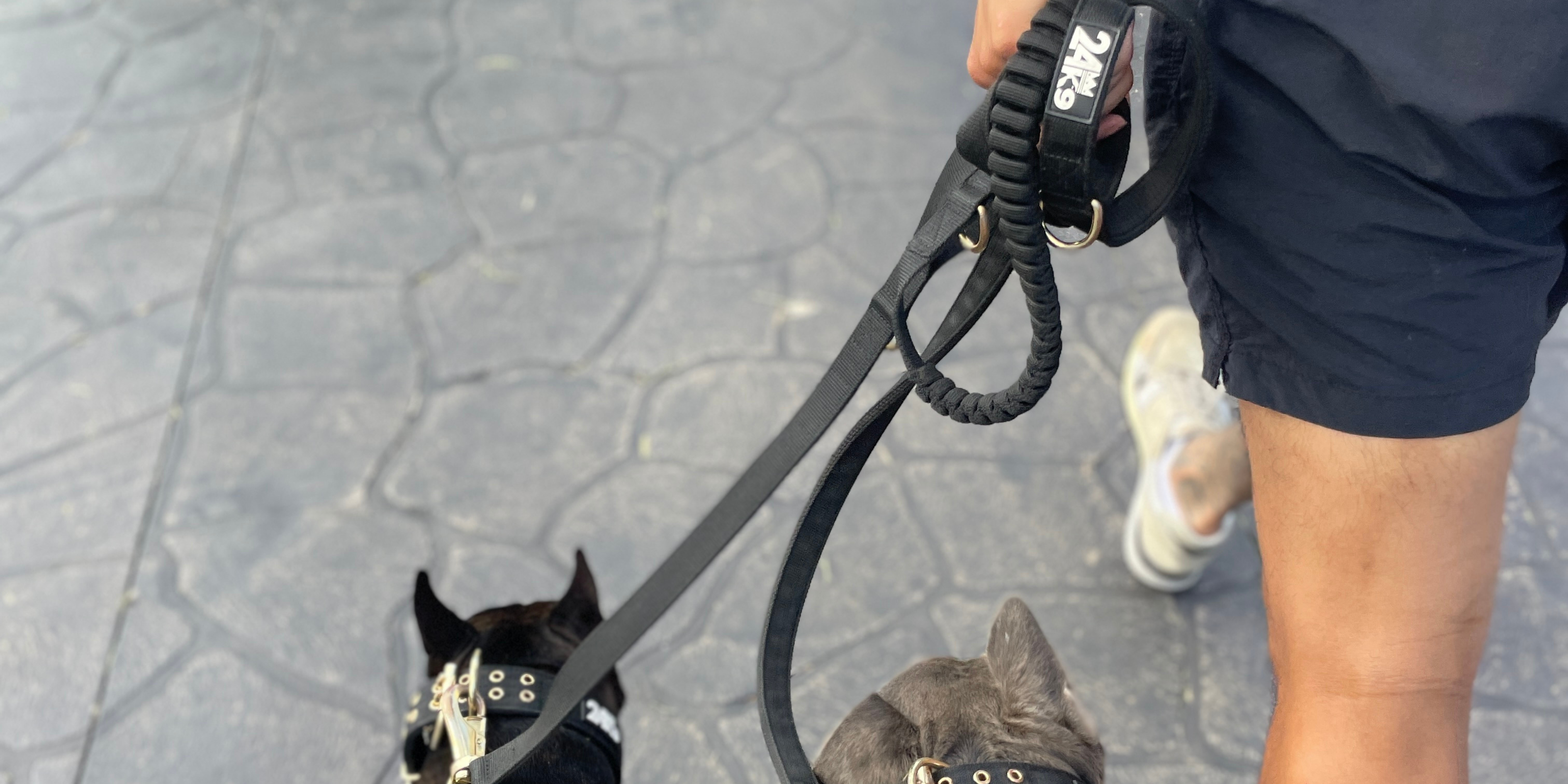 Impact Bungee Dog Leash Durable Dog Walking Leash by 24K9