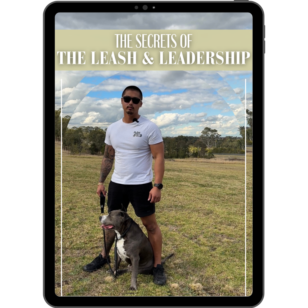 The Secrets Of The Leash & Leadership