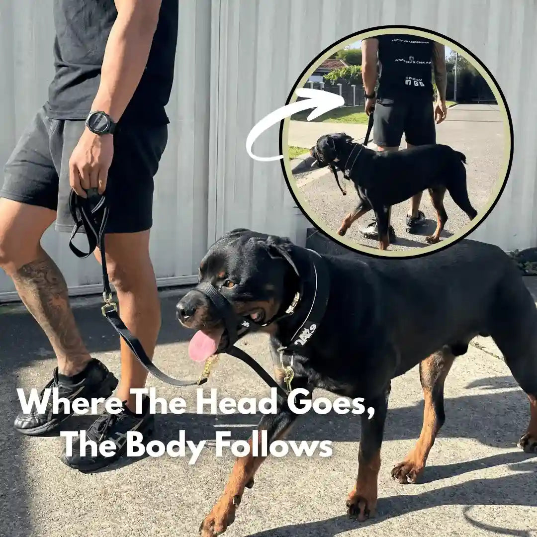 Kontroller Head Halter