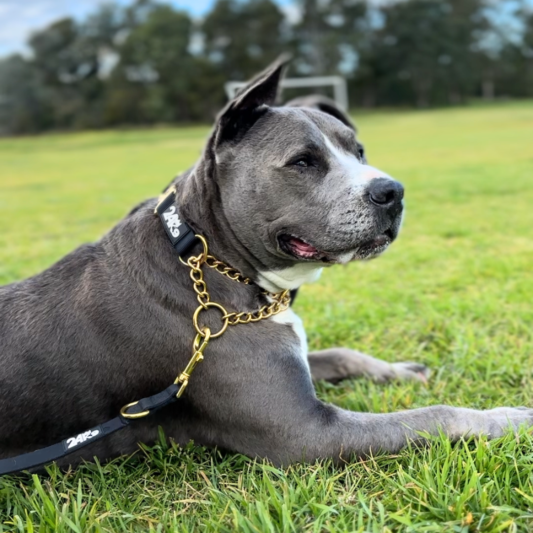 Kommando Martingale Collar