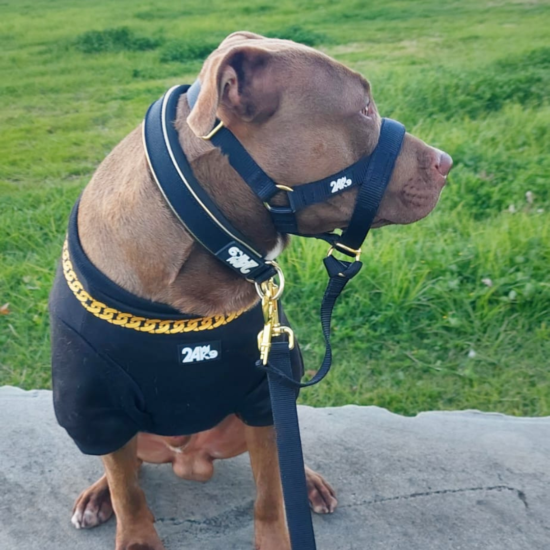 Show Stopper Sweater