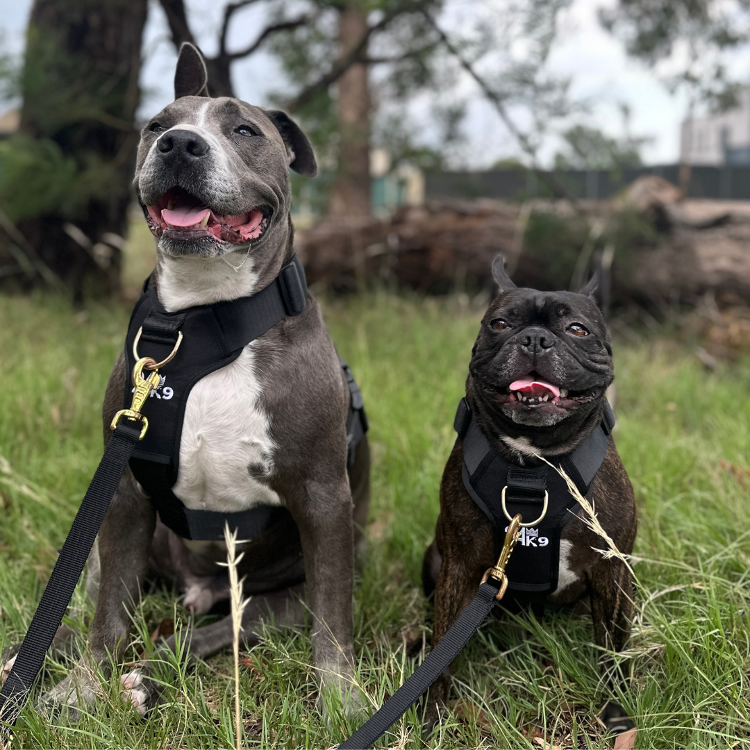 Kombat Harness