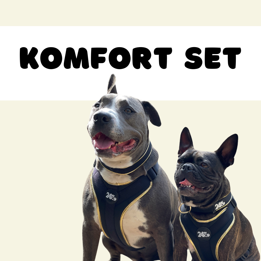 24K9 Dog Accessories