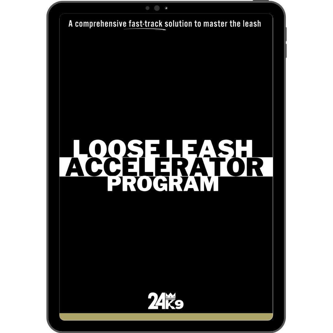 [Digital] Loose Leash Accelerator Program