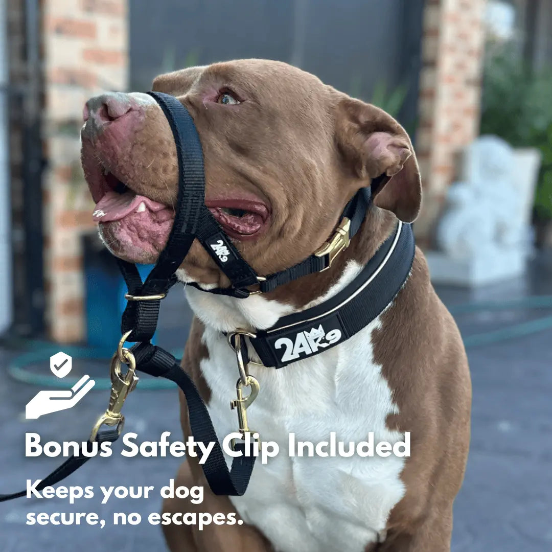 Kontroller Head Halter