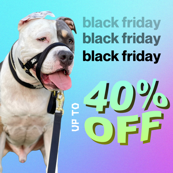 24K9 Dog Accessories