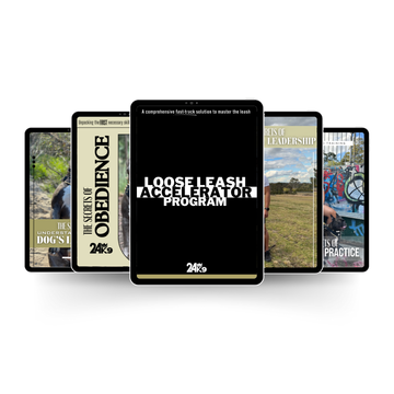 Digital Dog Training Program