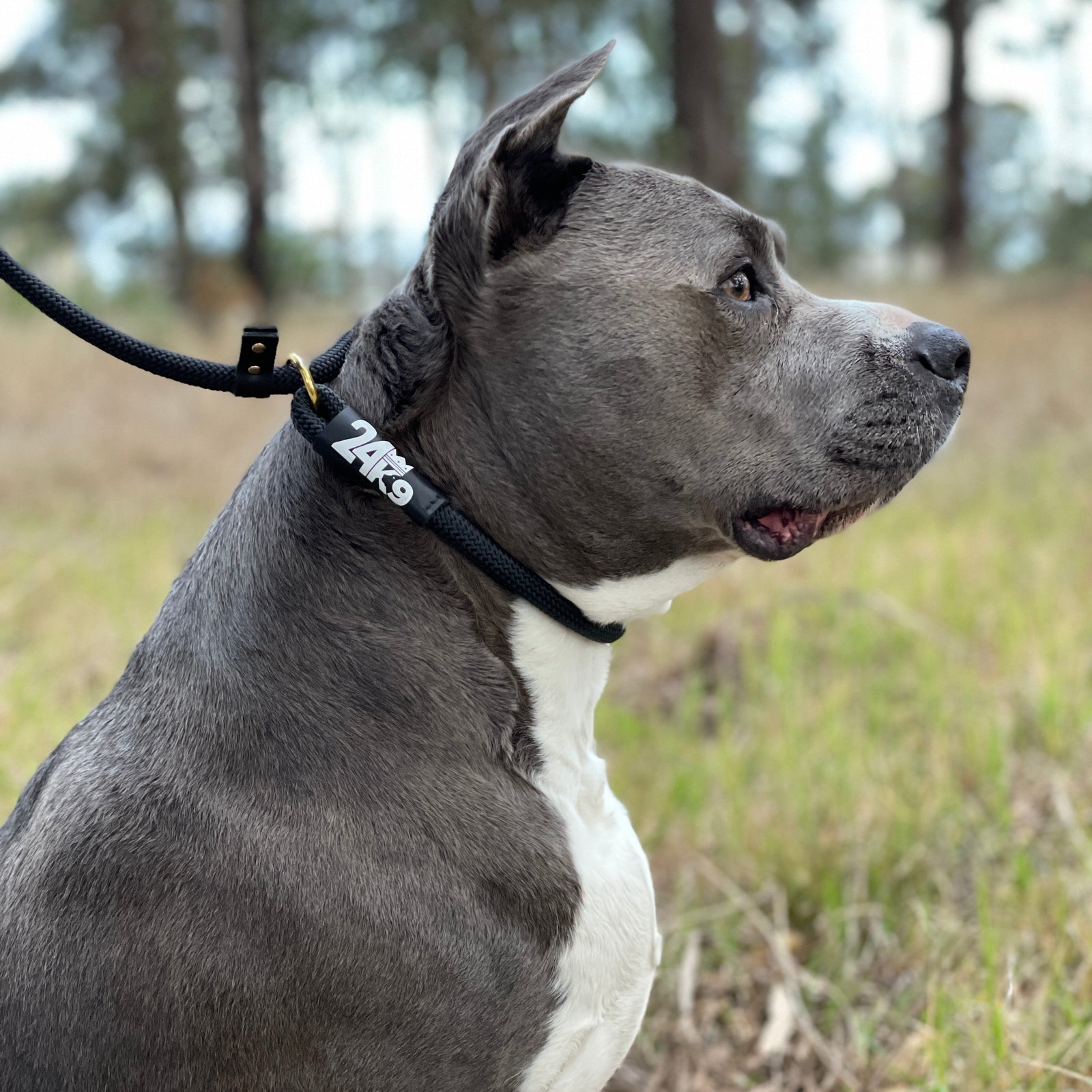 Korrection Slip Leash 24K9