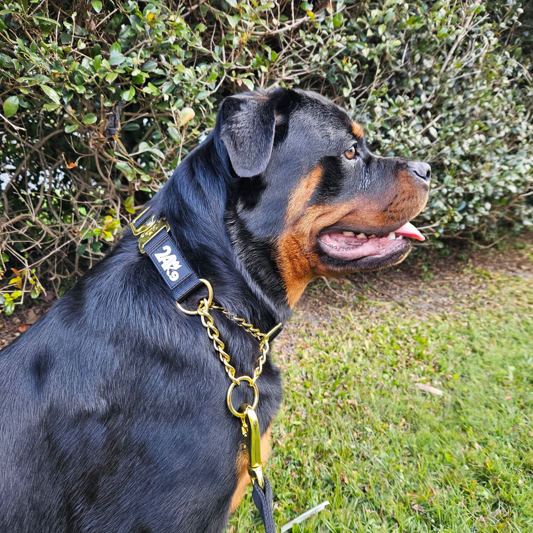 Kommando Martingale Collar