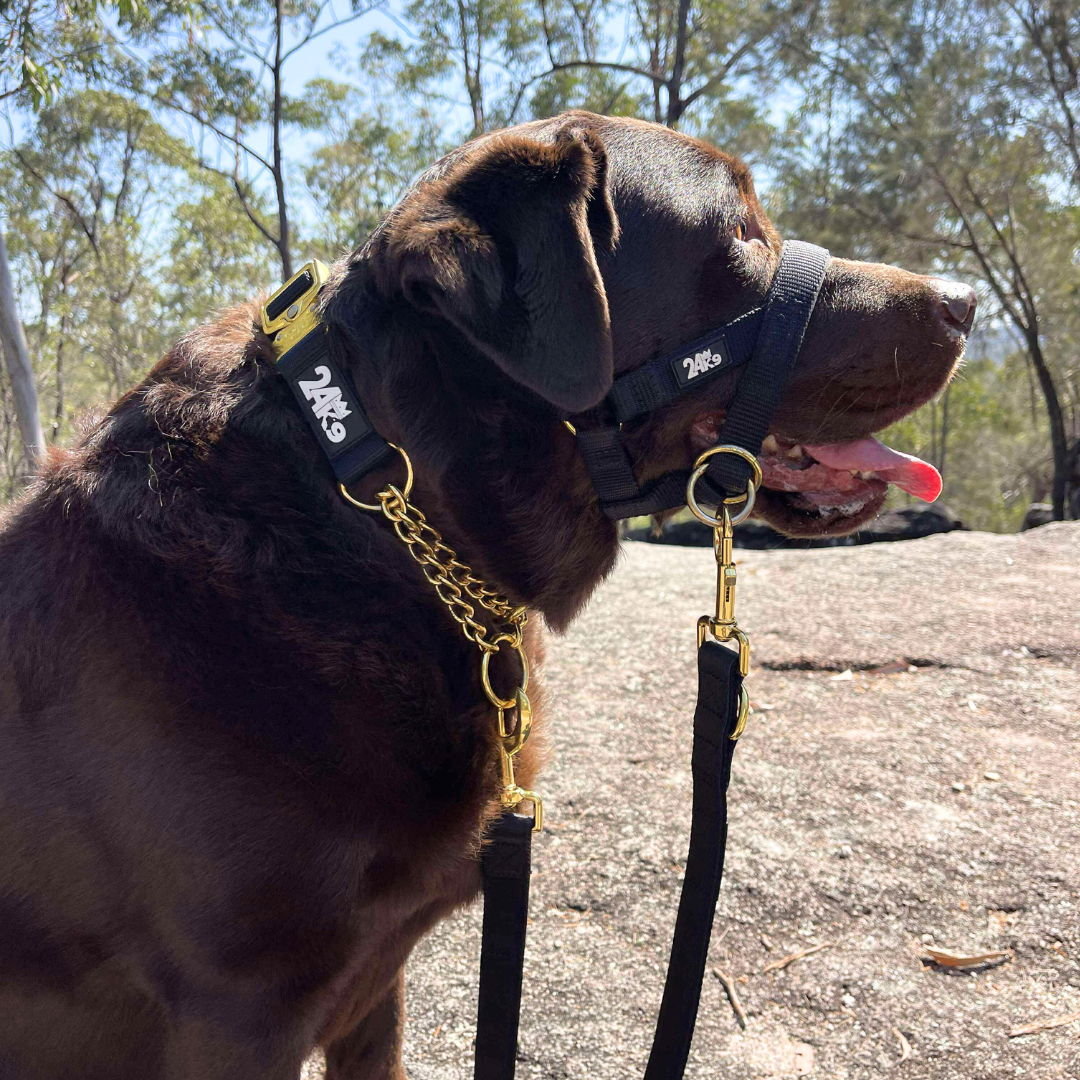 Kommando Martingale Collar