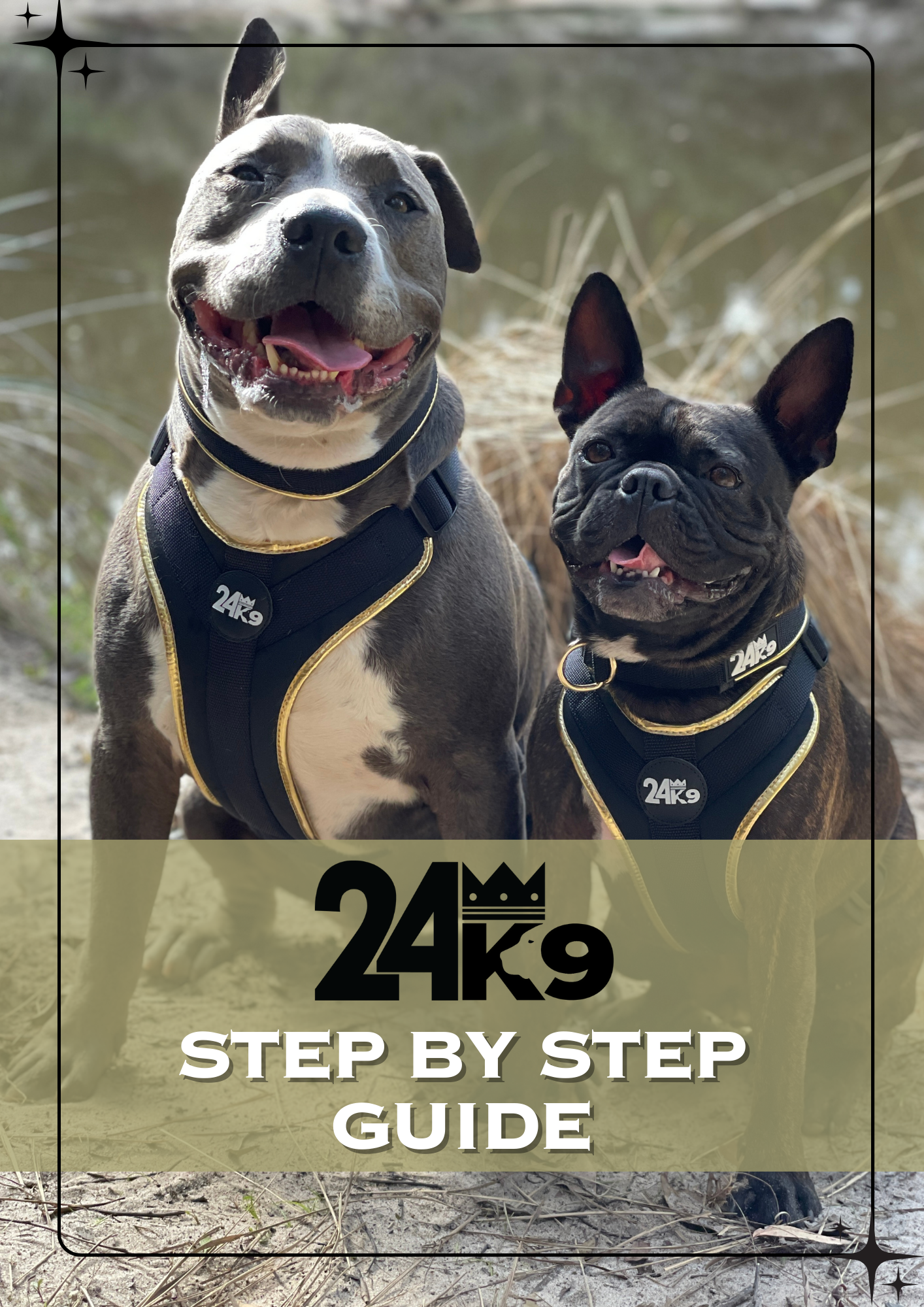 Dog Training Step Guide - Canine Training Manual