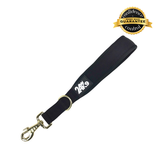 Compact Dog Leash 24K9