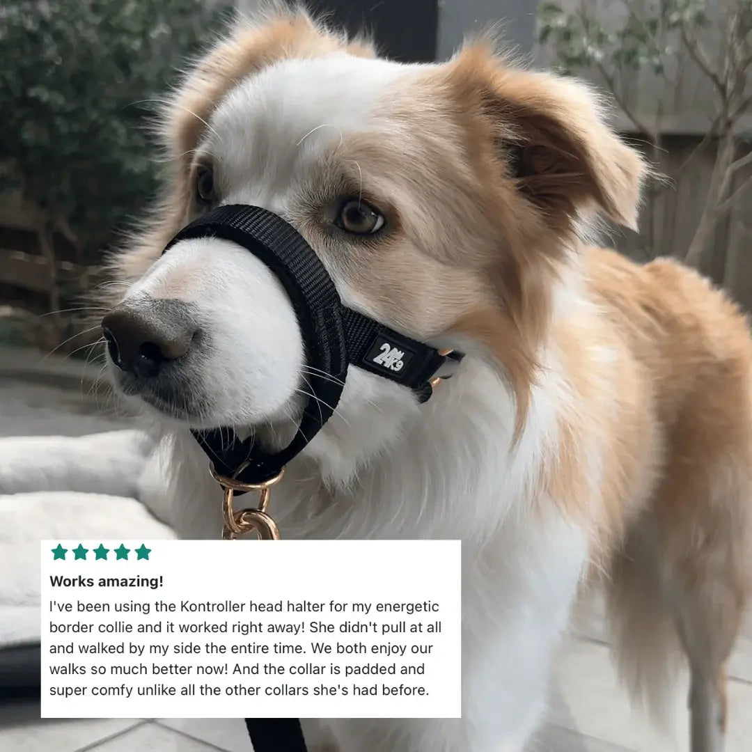 Kontroller Head Halter