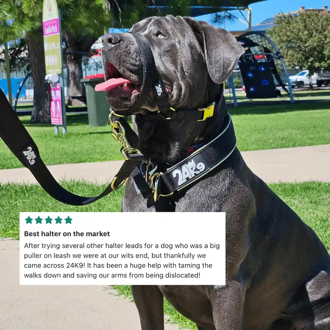 Kontroller Head Halter