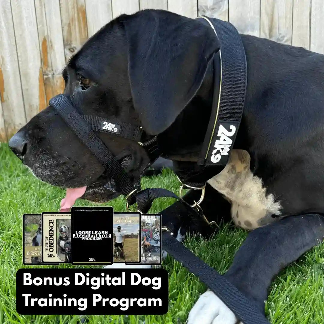 Kontroller Head Halter