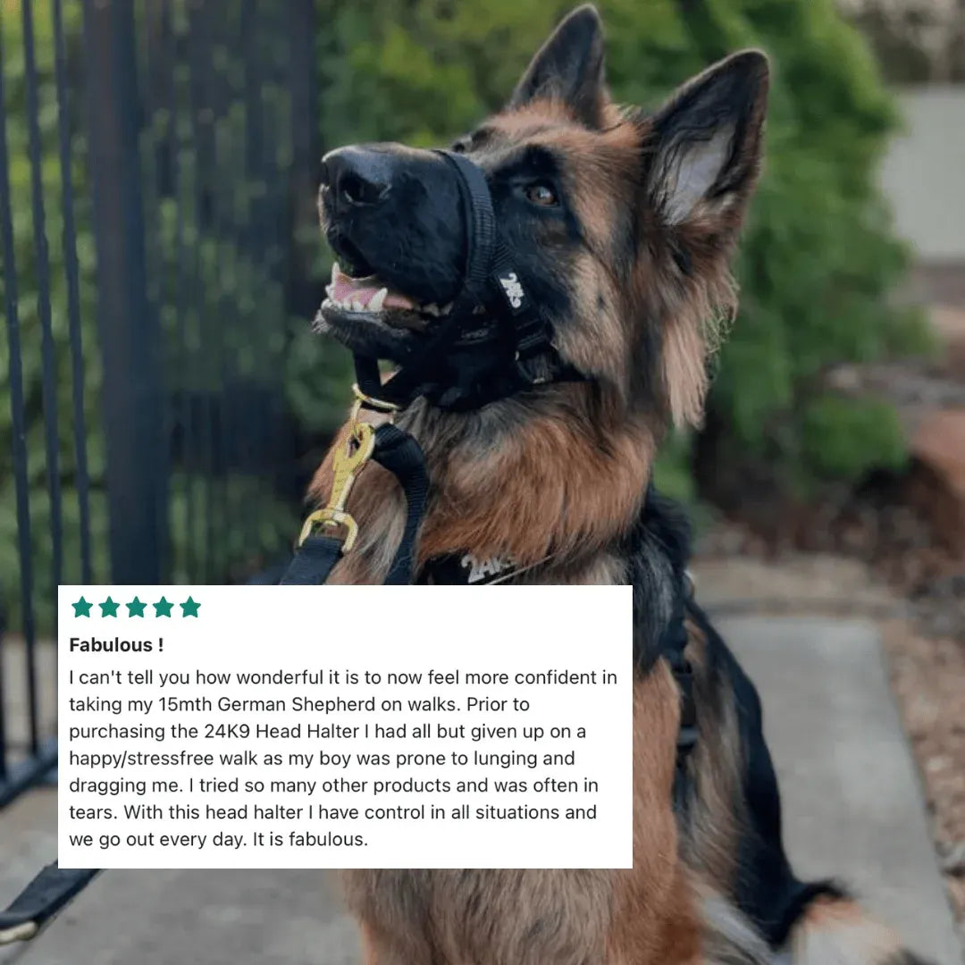 Kontroller Head Halter