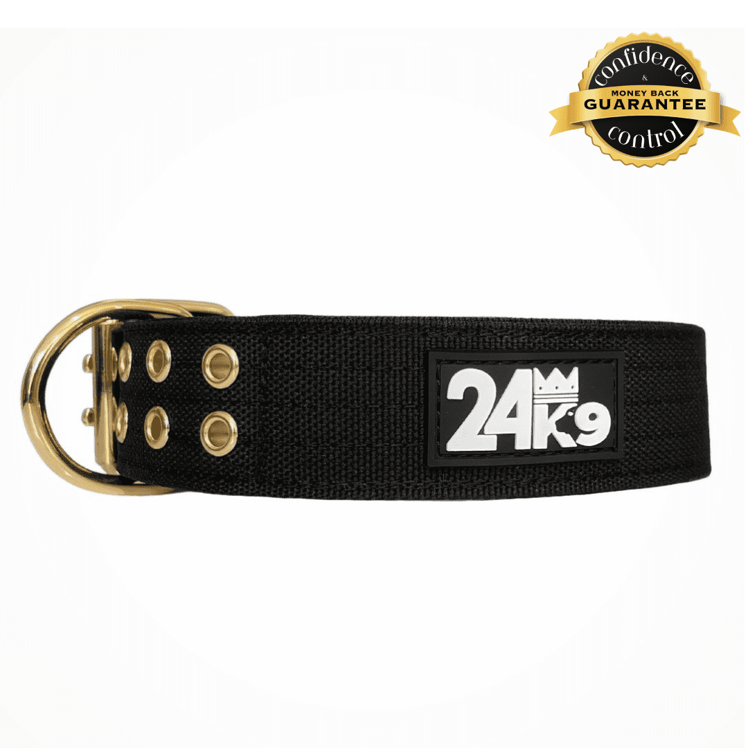 Durable Dog Collar 24K9