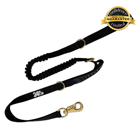 Impact Bungee Dog Leash - Zero Shock Dog Leash