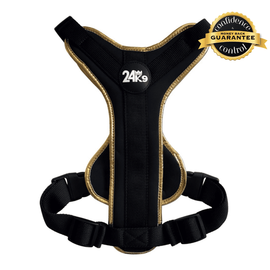 Luxury Dog Harness 24K9