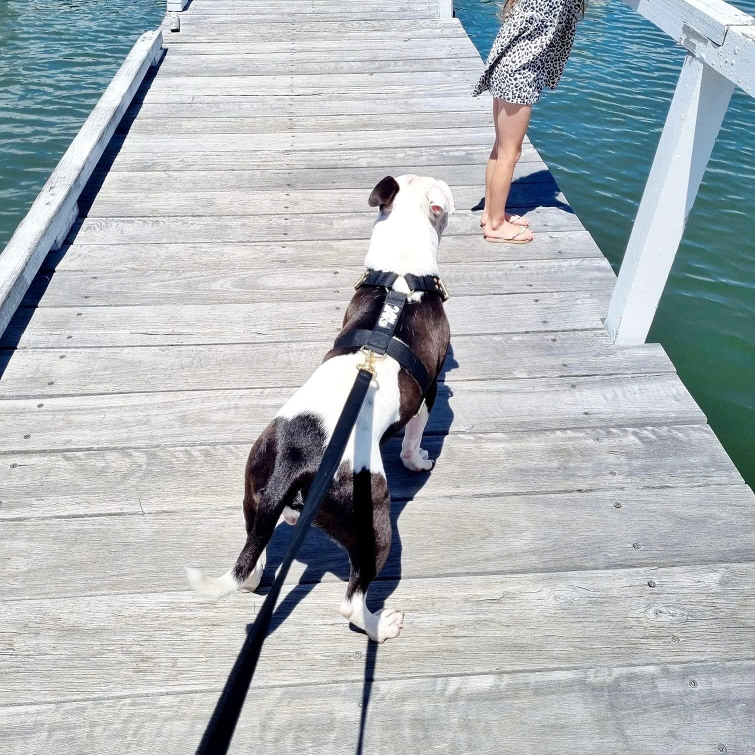 Heavy Duty Kontrol Leash