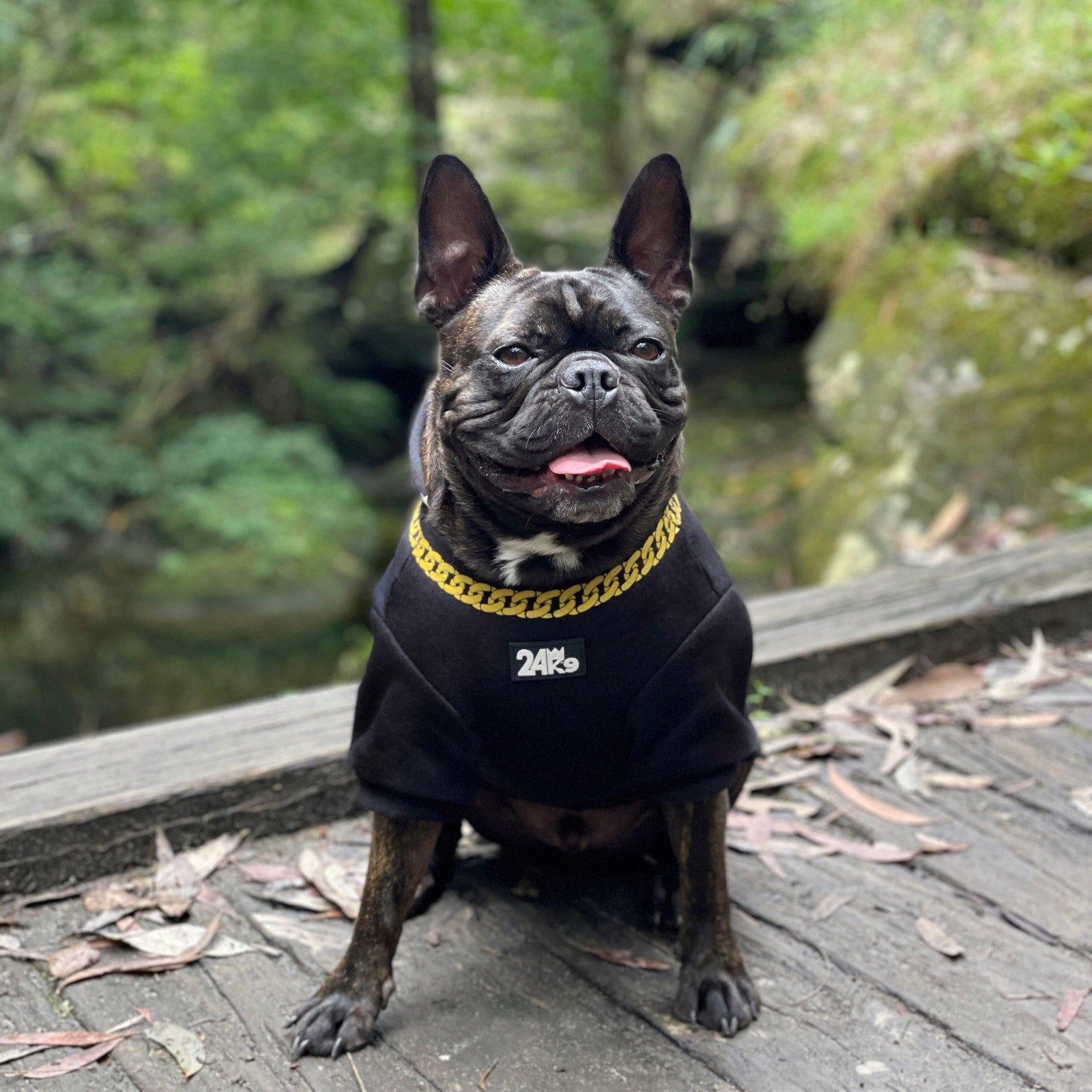 Dog hoodie, dog hoodie, dog clothing, dog clothes, affordable dog clothes, affordable dog hoodie, winter clothes for dogs, cool dog clothes, dog clothes for small dogs