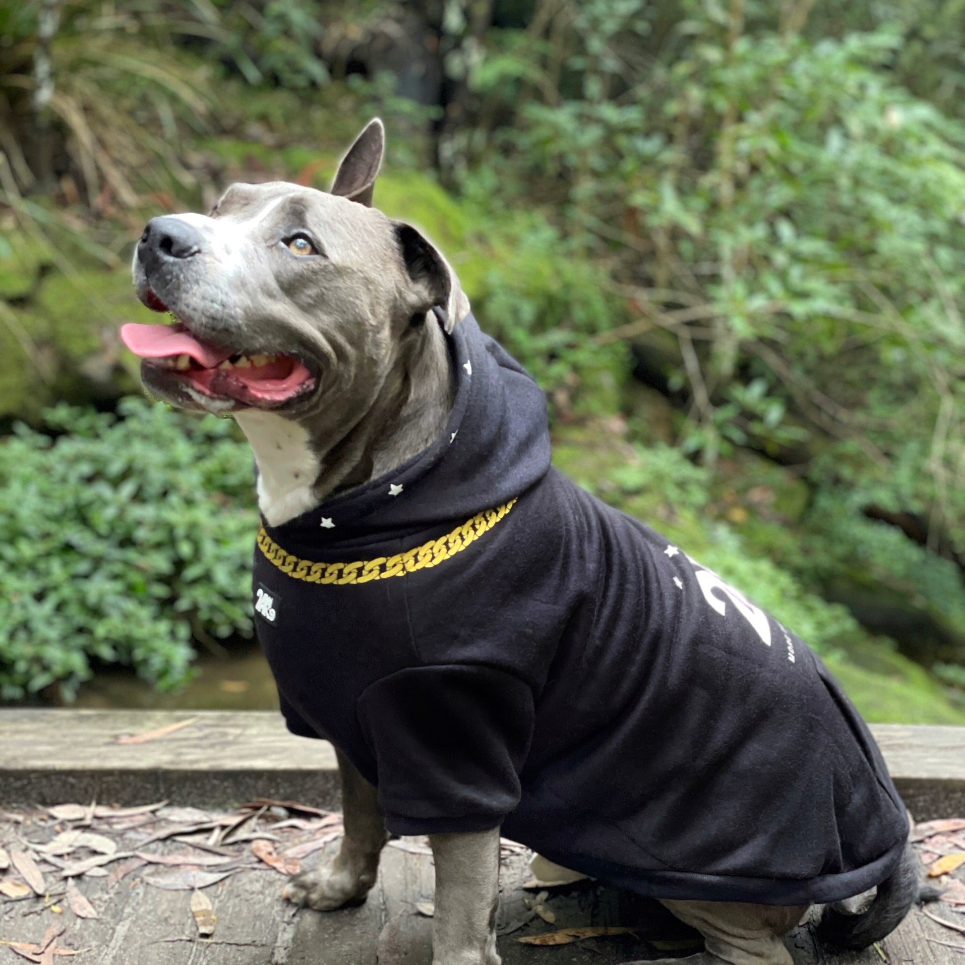 dog apparel, dog hoodie, dog clothing, dog clothes, affordable dog clothes, affordable dog hoodie, winter clothes for dogs, cool dog clothes